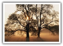 alberghi sellia marina