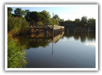 alberghi bellaria igea marina