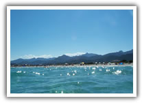 Olbia